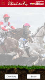 Charleston Cup poster 6