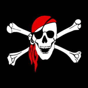 Pirate Dictionary apk wersja 1.0