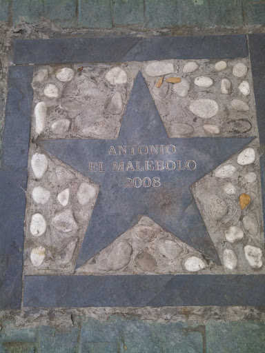 Placa Estrella El Malebolo
