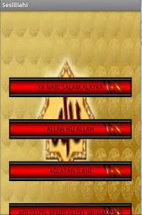 EN GÜZEL  SESLİ İLAHİLER Screenshots 0