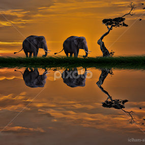 JOURNEY by Ilham Abdi - Digital Art Animals