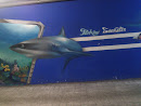 Graffiti Tiburón