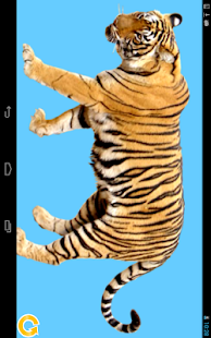 Peekaboo TTTouch！ (animal) Screenshots 14