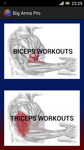 Big Arm Biceps Home Workouts