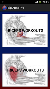 Big Arm Biceps Home Workouts