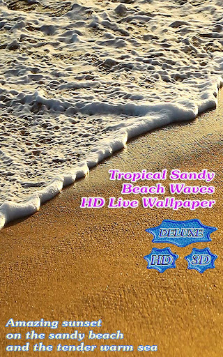 Tropical Sandy Beach Waves HD