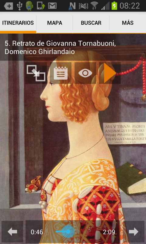 Android application Thyssen-Bornemisza Museum screenshort