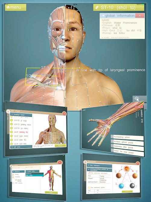 Android application Advanced Acupuncture 3D screenshort