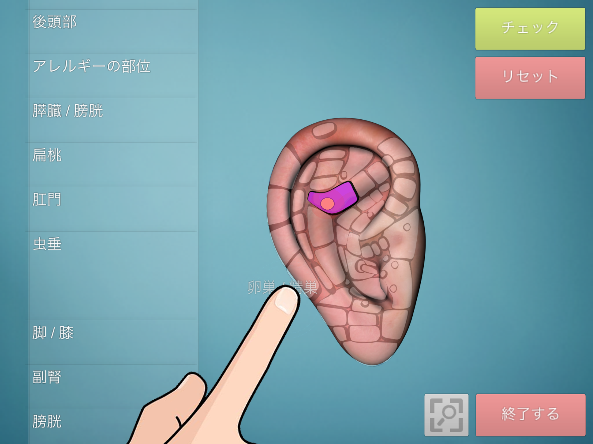 Android application Drag&Drop Reflexology- ears screenshort