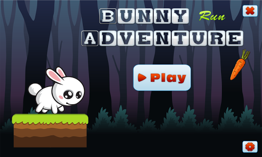 Bunny Run Adventure