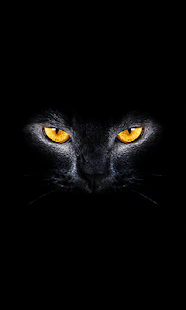 How to download Cats & Kittens Sounds 1.0.1 mod apk for pc