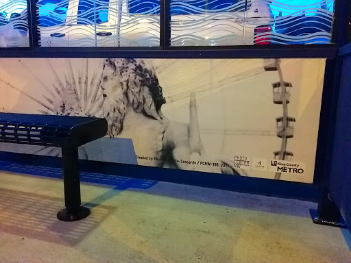 Concorde Bus Stop Art