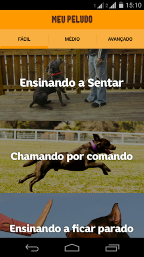 Guia de Adestramento para Cães