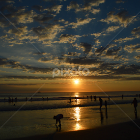 January beach by Alighieri Rizo - Landscapes Beaches