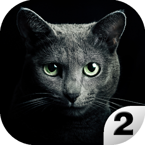 Hack Find a cat 2. Free! game