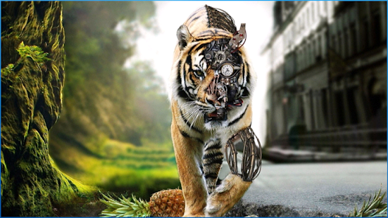 Free Amazing CG Backgrounds APK for Android