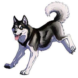 WS: Husky