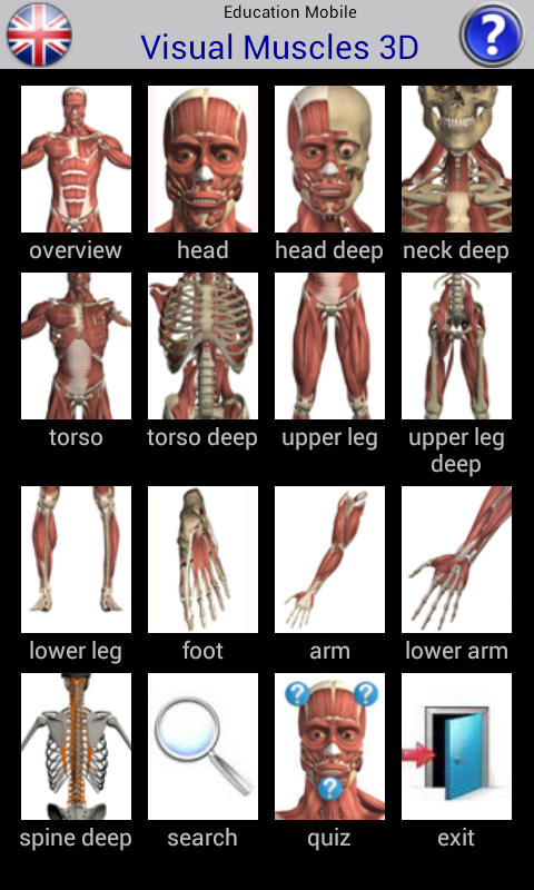 Visual Muscles 3D Screen 1