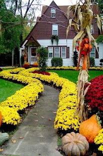 download Garden Design Ideas free