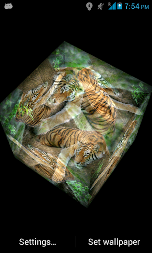 免費下載個人化APP|3D Tiger Live Wallpaper app開箱文|APP開箱王