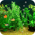 FishBowl HD Live Wallpaper1.9