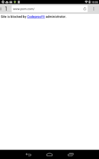 Codeproof Secure Browser Screenshots 4