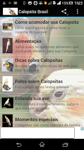 Download Calopsita Brasil APK for Android