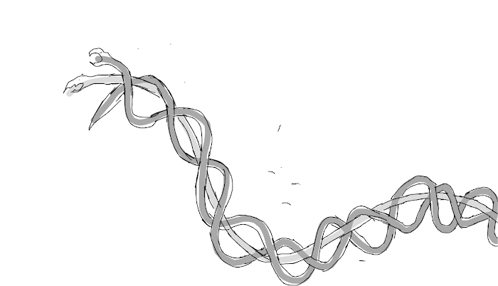 We're tangled!