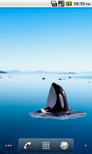 How to install Killer Whale Spyhop Sticker lastet apk for pc
