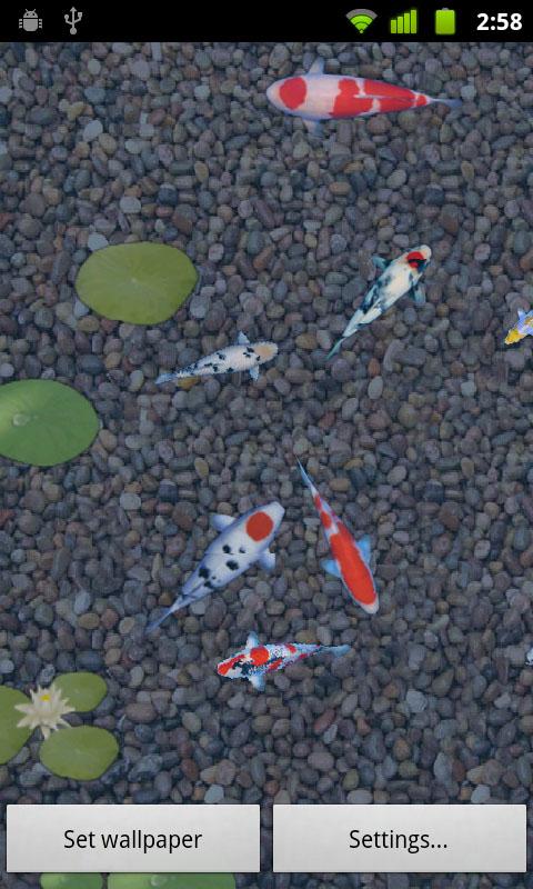 Android application aniPet Koi LiveWallpaper screenshort