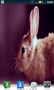 Download Color Bunny LWP Pro APK for PC