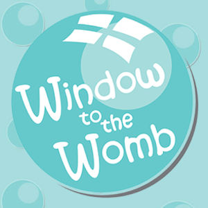 Window to the Womb 4.0.1