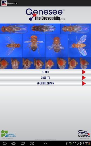 【免費教育App】Drosophila-APP點子