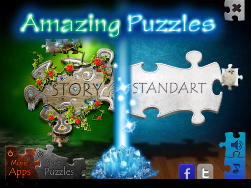 Amazing Puzzles