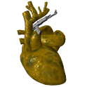 MW2 Guns icon