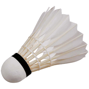 Compete - Badminton Edition.apk 1.2