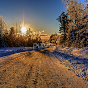 by G. Stetson - Landscapes Forests