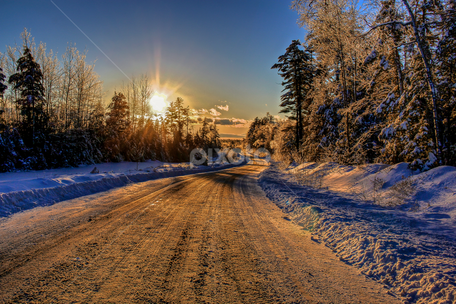 by G. Stetson - Landscapes Forests