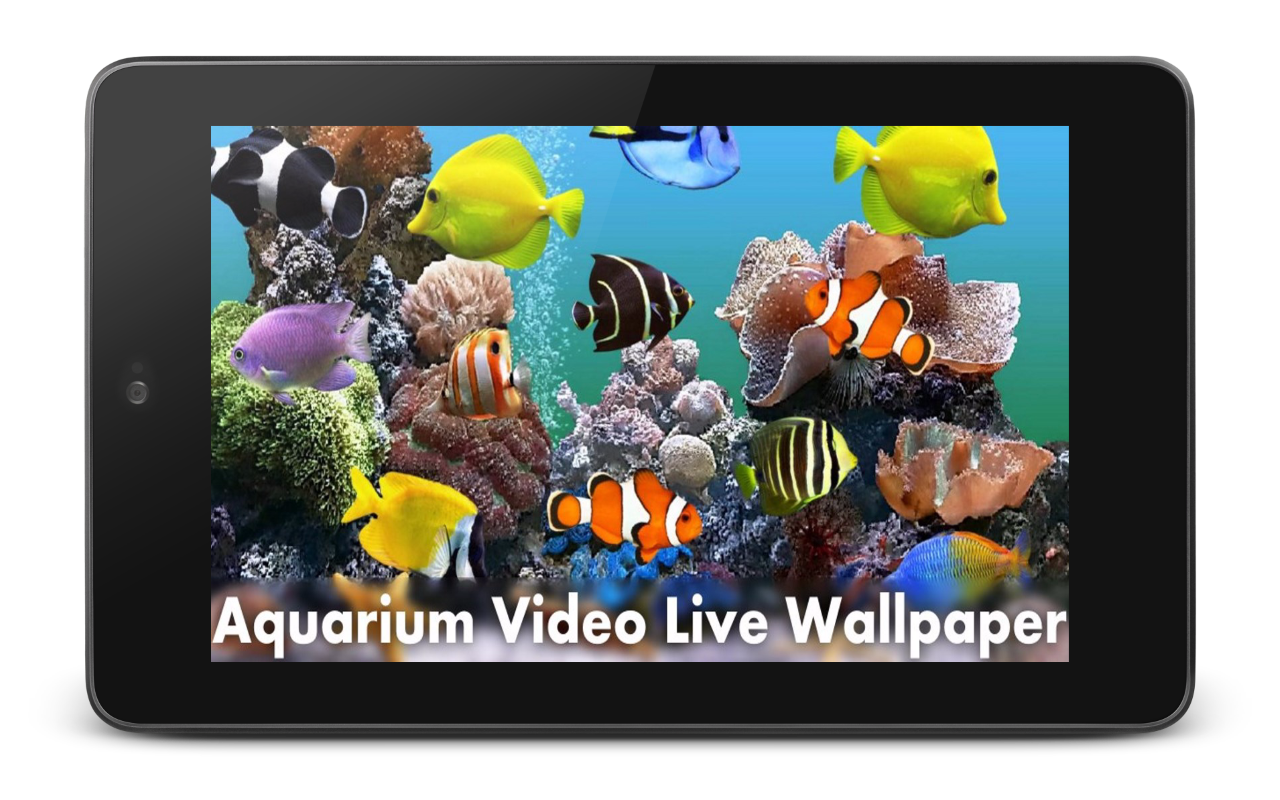 Aquarium Video Live Wallpaper Apl Android Di Google Play