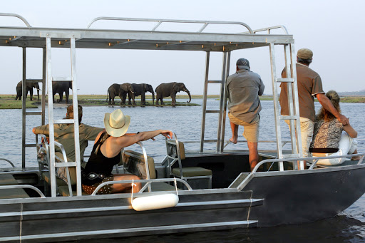 Zambezi-Queen-game-viewing - View elephants and other game along the Chobe River during your river cruise aboard the Zambezi Queen. 