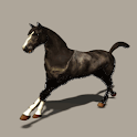 Black Horse Live Wallpaper