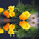Garden Reflect Live Wallpaper