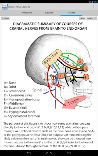 Anatomy Cranial Nerve Lectures Screen 3
