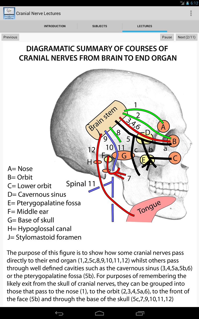 Anatomy Cranial Nerve Lectures Screen 3