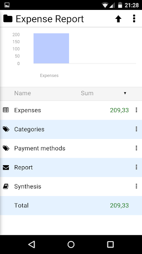 Expense Report