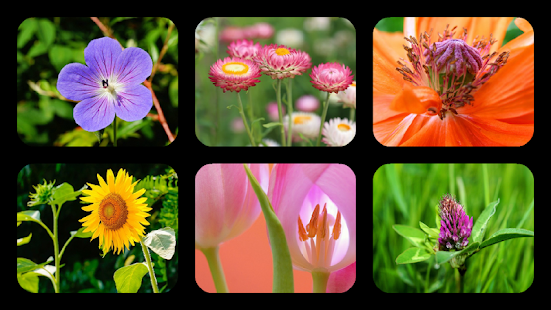 How to install Flower Jigsaw Puzzles patch 0.4 apk for pc