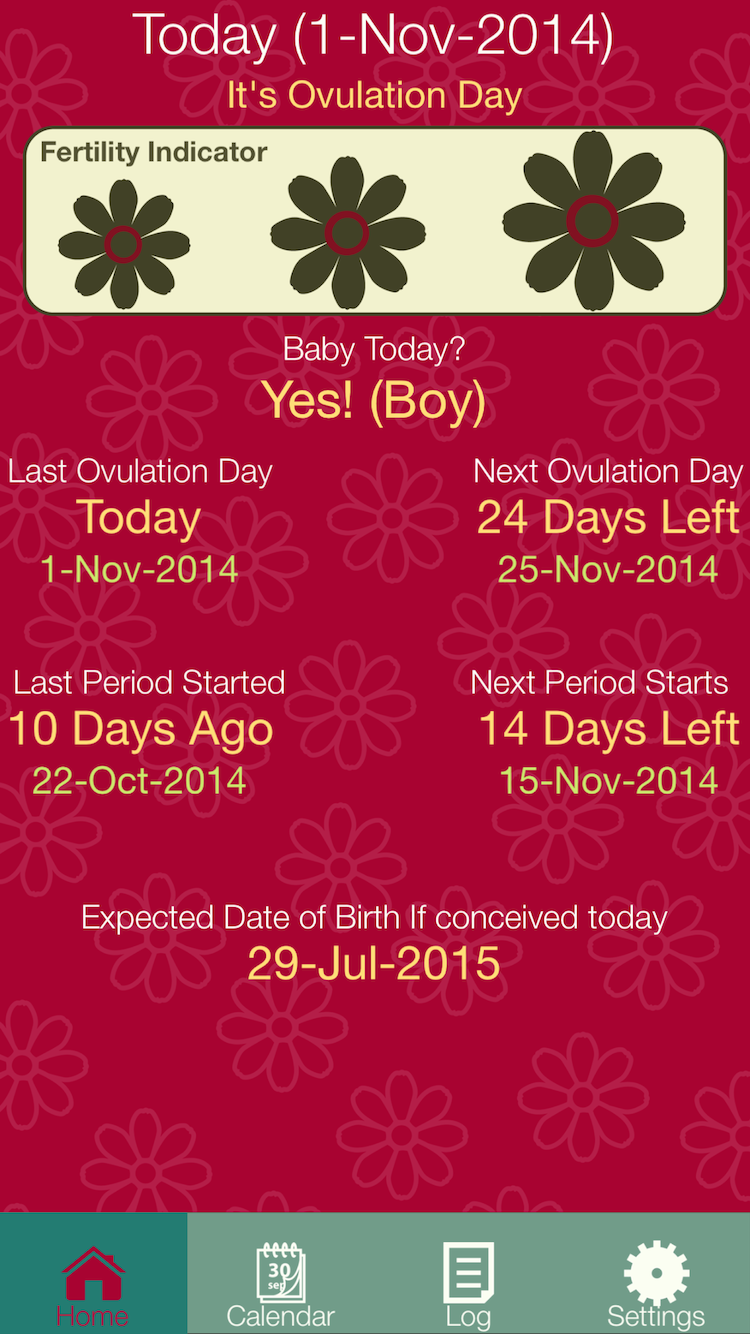 Fertility Diary  - Maybe Baby Screen 2