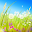 Blowball - Live Wallpaper Download on Windows