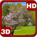 Wonderful Sakura Zen Scenery mobile app icon