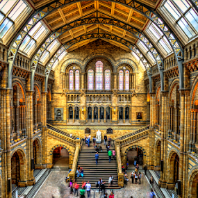 Natural History Museum London by Lukas Proszowski - Buildings & Architecture Public & Historical